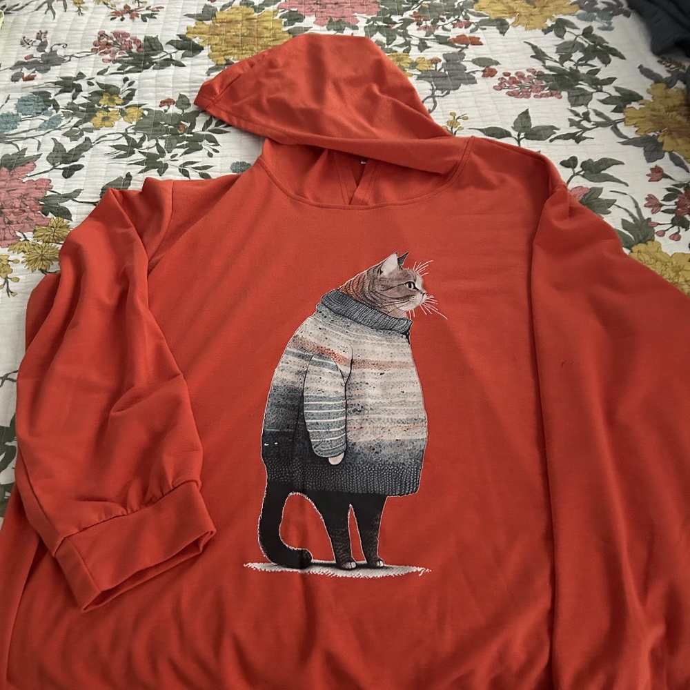 Orange hoodie with cat wearing a sweater